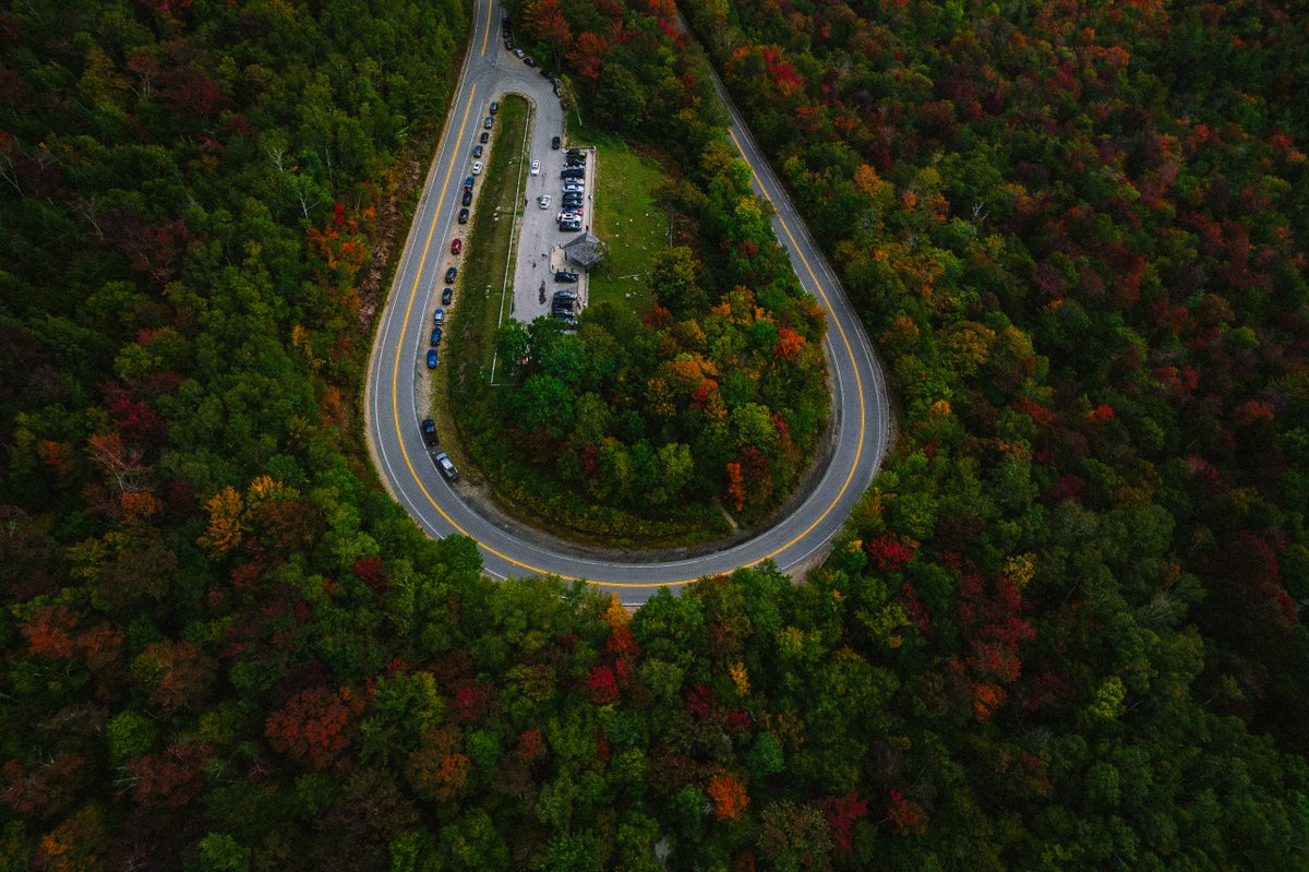 Dan Mall tweet media