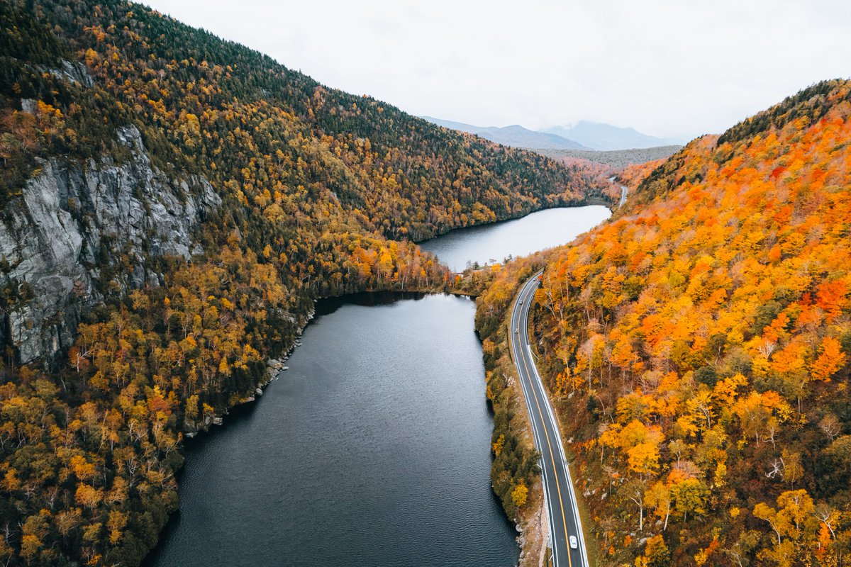 Dan Mall tweet media