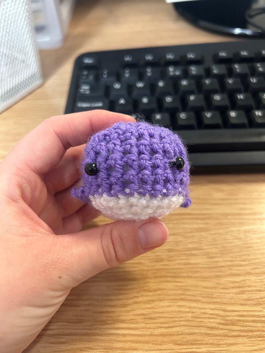 Carys Stewart-Woods tweet media