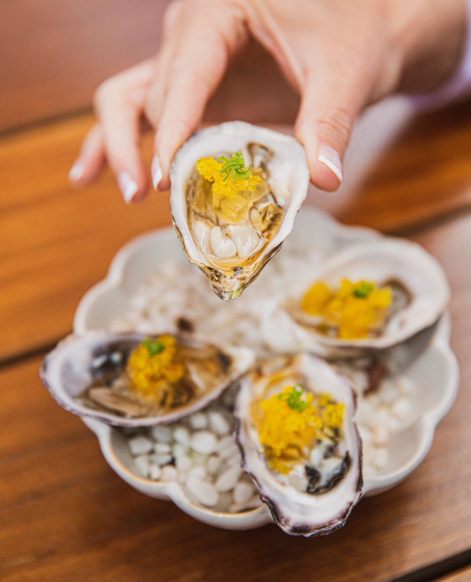 himitsusd's tweet photo. Sunshine and oysters make a fantastic combination!⁠ ☀️ 
⁠
Join us for lunch or dinner. https://t.co/uU7IoT1uUS