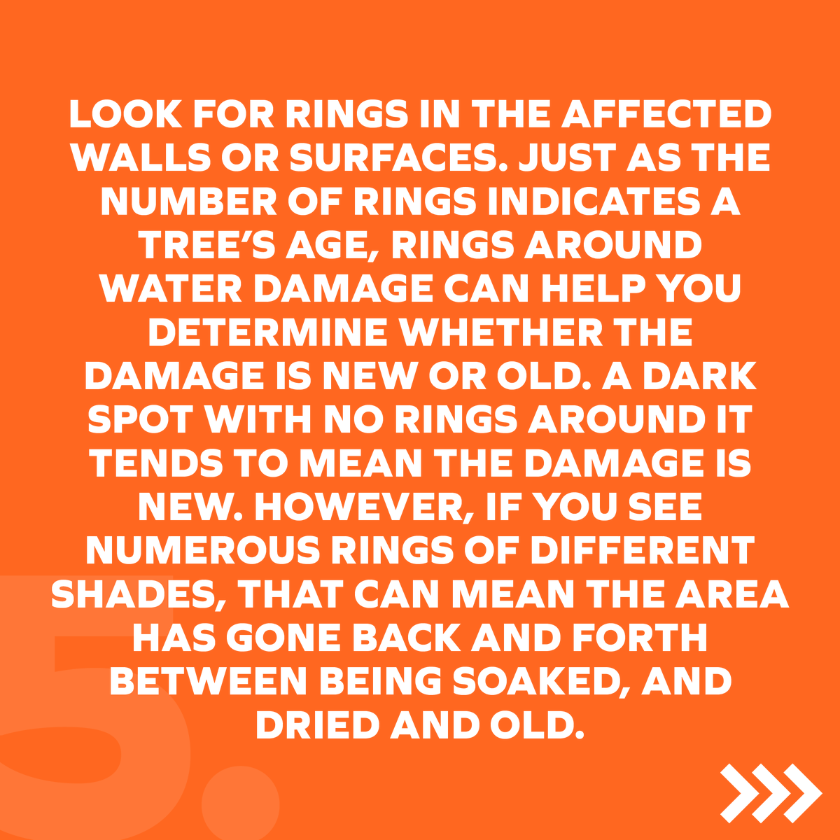 Did you know old water damage can be just as problematic as new? Here's how you determine if water damage is new or old:
