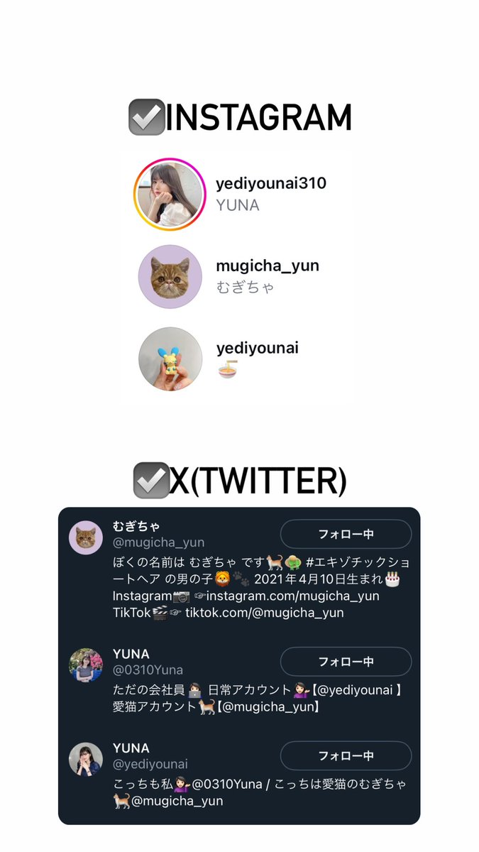 ティンダーとかのマッチングアプリに私の顔写真使った人が出てくるらしいですが、一切やってませんので通報お願いします！😃🔪🔪🔪

あと私の顔写真使ったSNSのなりすましもあるみたいですが、インスタとTwitterは画像の通りのアカウントのみなのでそれ以外は通報してください🙇‍♀️