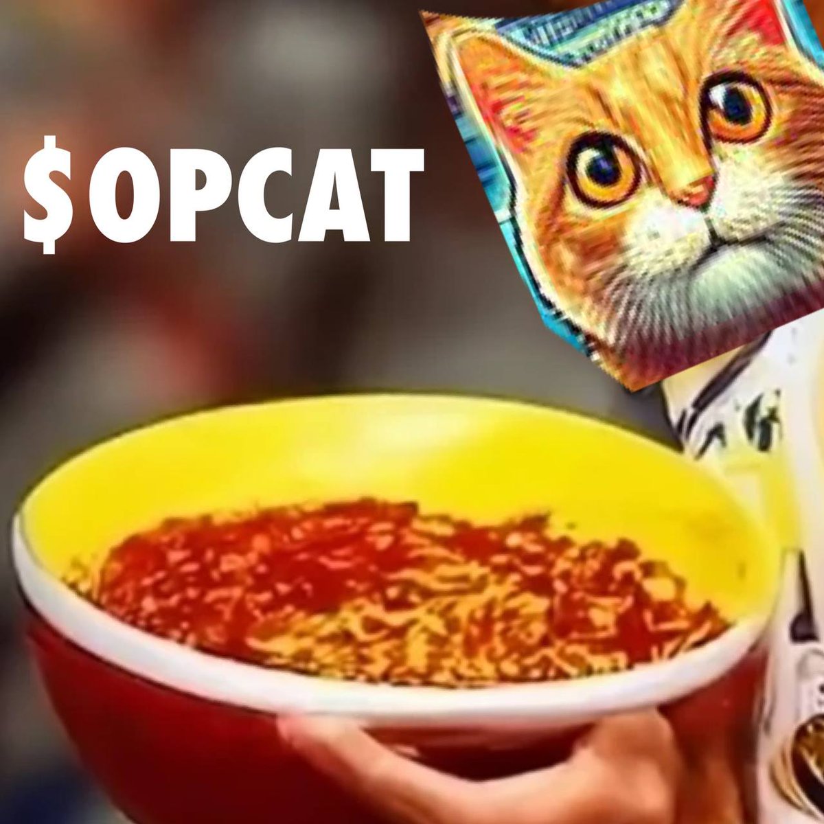 greenchasered's tweet photo. @DeeZe $OPCAT is mind blowing

CA: E9v9VXWfTHcKQ8dACpHjsnP86XDfT6J72YXZrJgDpump https://t.co/eQiXlAy1gg