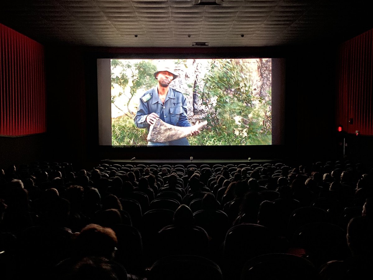 ATLANTA PREMIERE - June 25th was the Atlanta Premiere of RHINO MAN. It was another homecoming for the film, this time in the city where most of the production crew has been based over the last 9 years. It was such an honor to share the stage with such an incredible team, and to