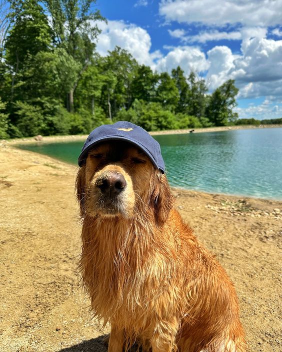 BeachyCto's tweet photo. @agnesrium don't even try to call me that way.. i'm just $BEACHY

ekM4FaK7oeq7YTa2YBNAwWdTJCsZAicMzSH83RNFpDA https://t.co/dmCvlTuSoK