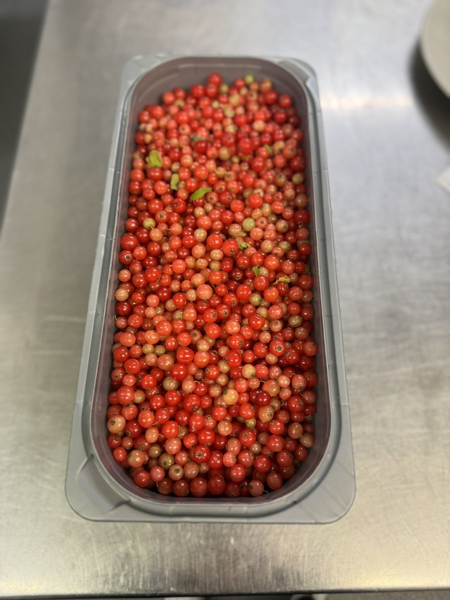 Rathmullan House (@rathmullanhouse) on Twitter photo Lots of lovely fresh walled garden produce going into the kitchen everyday 👏🏻 Thanks Martin 🧑🏻🌾
All featuring on our breakfast & dinner menus as well as on our pizza at Pavilion!
rathmullanhouse.com
#localfood #homegrown #rathmullanhouse #seasonalfood <a href="/GoodFoodIreland/">Good Food Ireland®</a> Lots of lovely fresh walled garden produce going into the kitchen everyday 👏🏻 Thanks Martin 🧑🏻🌾
All featuring on our breakfast & dinner menus as well as on our pizza at Pavilion!
rathmullanhouse.com
#localfood #homegrown #rathmullanhouse #seasonalfood <a href="/GoodFoodIreland/">Good Food Ireland®</a>