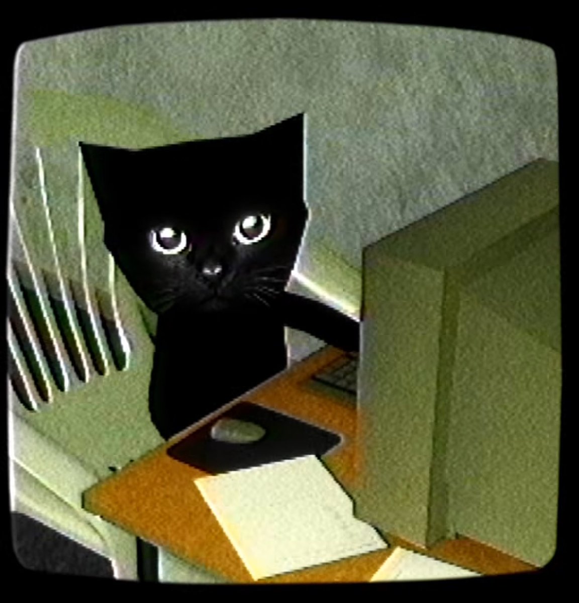 kitosocool's tweet photo. 🐈‍⬛👀💎 https://t.co/6virzHCmv7