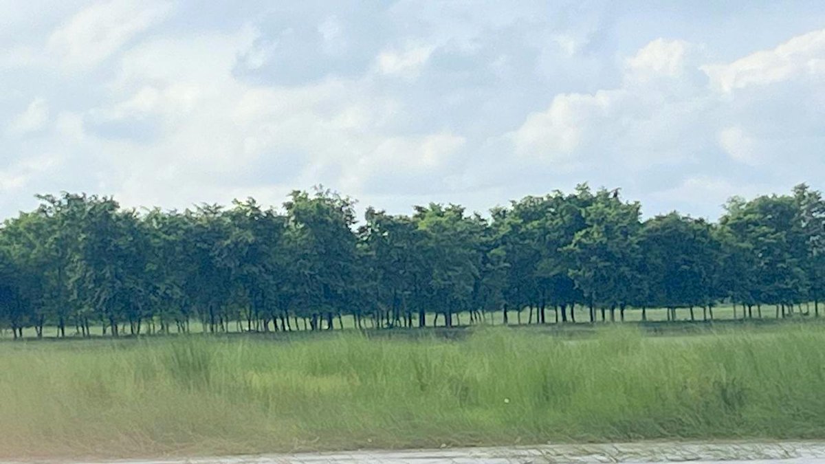 West Bengal Forest Department tweet media