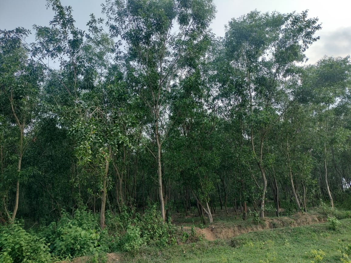 West Bengal Forest Department tweet media