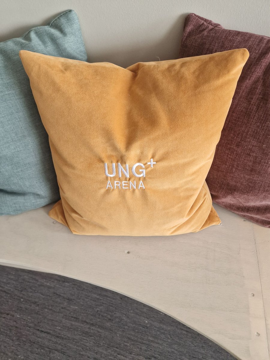 Visited a one of a kind service in Norway at the start of this month: Youth Arena+. A service for youth 12-25 in Tønsberg, by Vestfold Hospital Trust and Tønsberg Municipality. Inspired by headspace in AU, Youth Arena in Oslo, ao innomed.no/prosjekt/prosj…