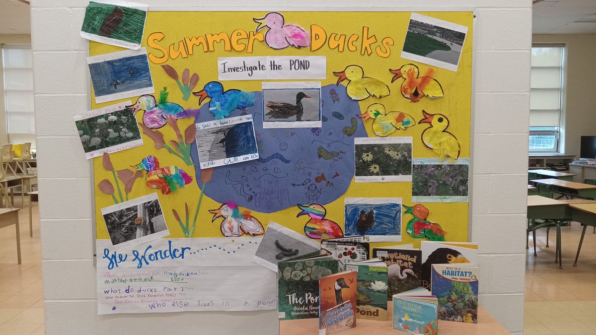 SelbieFuller's tweet photo. How it started...
How it's going...
Summer Ducks at Maria Goretti investigate their wonderings about the pond and the teams of life within it! @TCDSBSummerLrn @KerrEteach @KristyannSo @rosemortillaro @BrendaSevillano @MrsCRoti https://t.co/4i8NZGM9wY