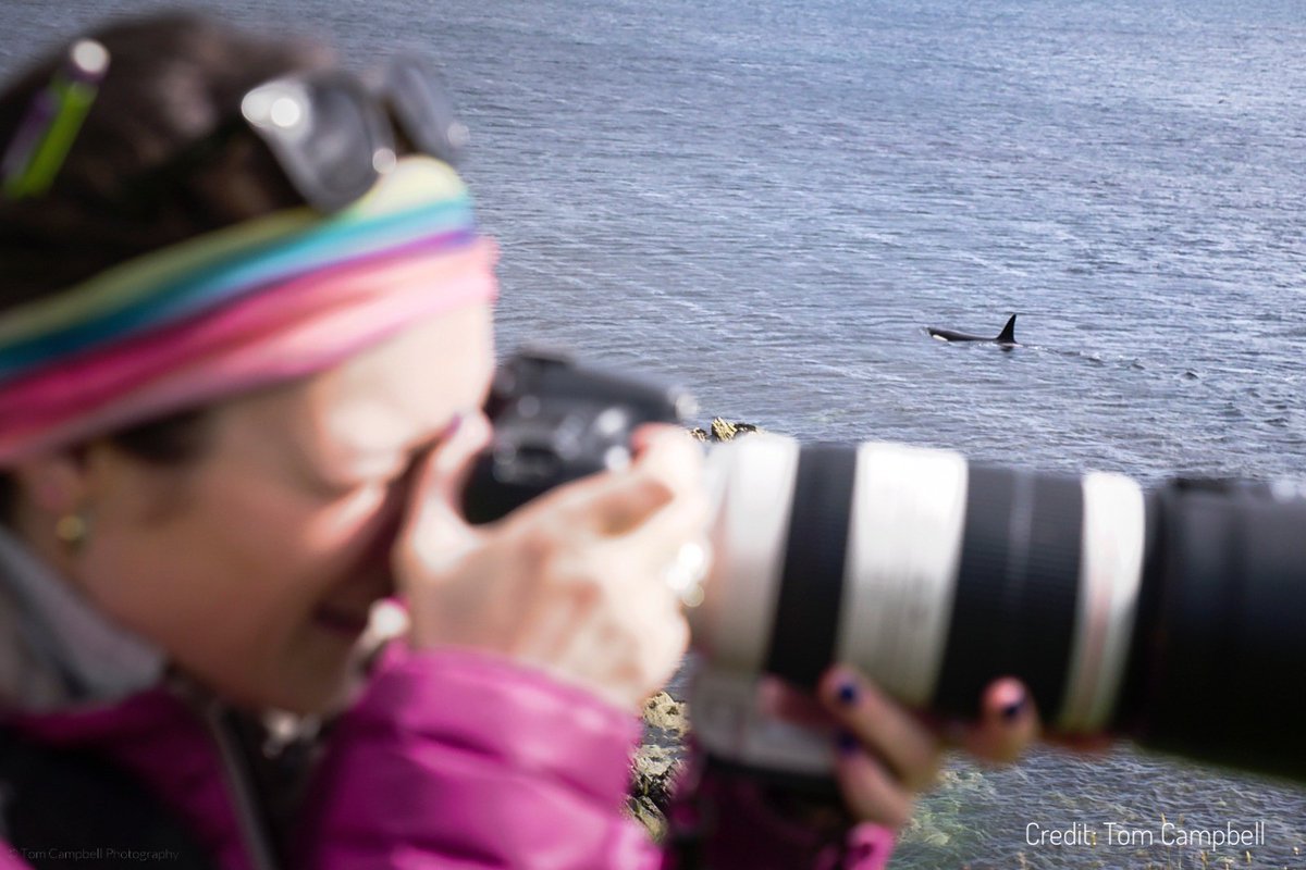 Julia Sutherland tweet media