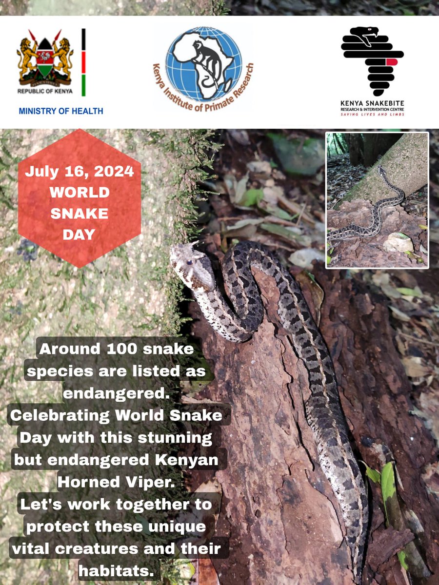 Kenya Snakebite Research and Intervention Centre (@k_sric) on Twitter photo 
