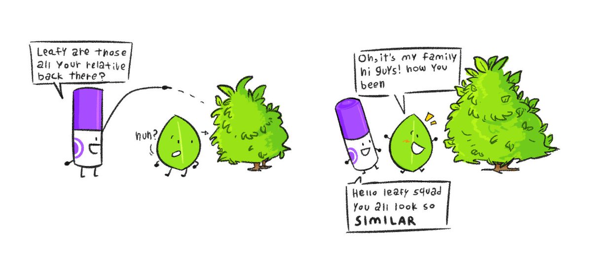 Karlsoniscool's tweet photo. leafy's family https://t.co/ZUlOZZjLxg