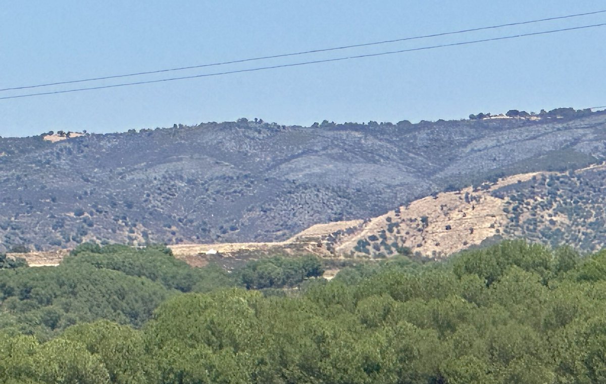 El impacto del fuego. #IFObejo2 
Vienen días de calor intenso. Mucha precaución.