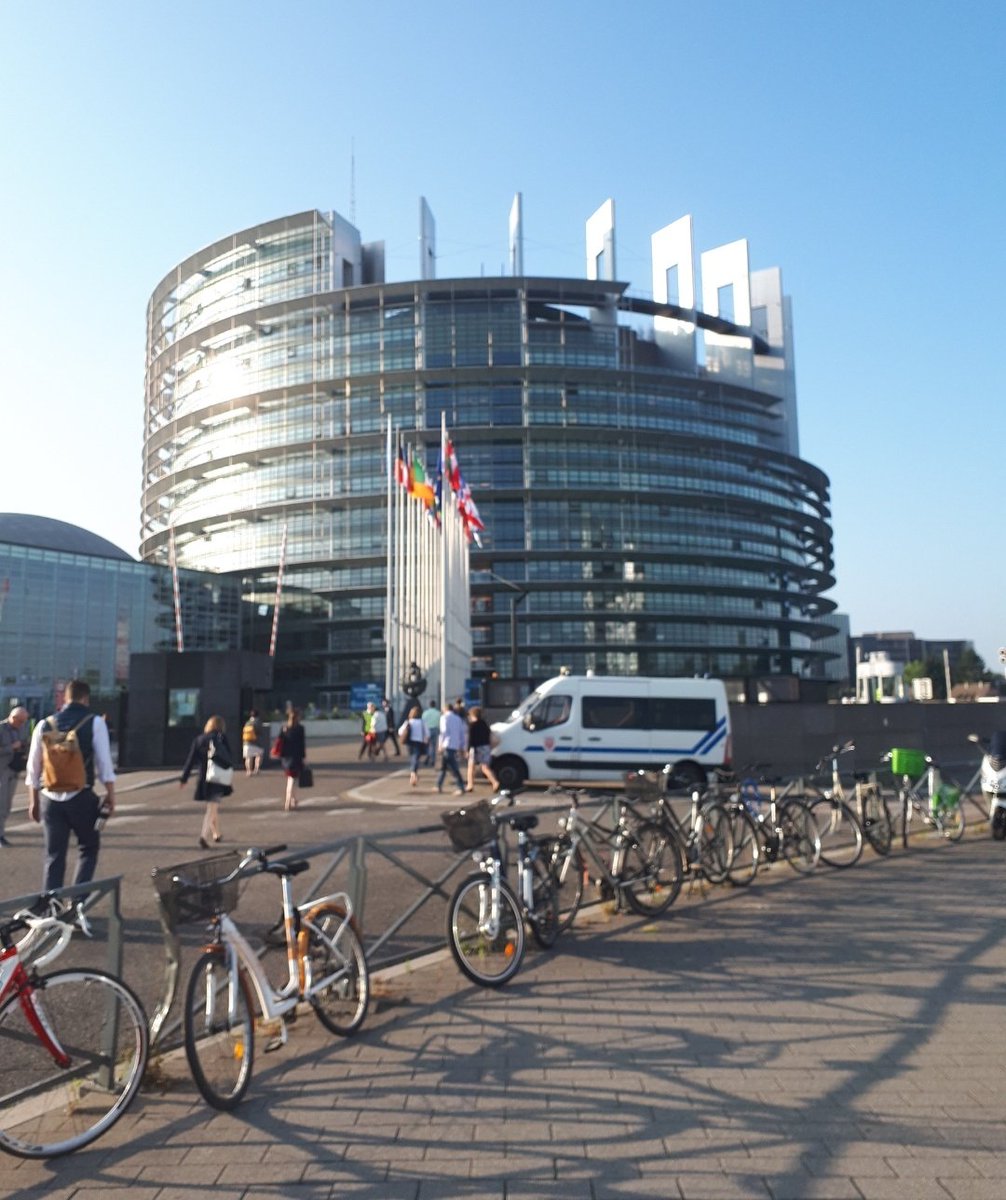 Kevin Purcell tweet media