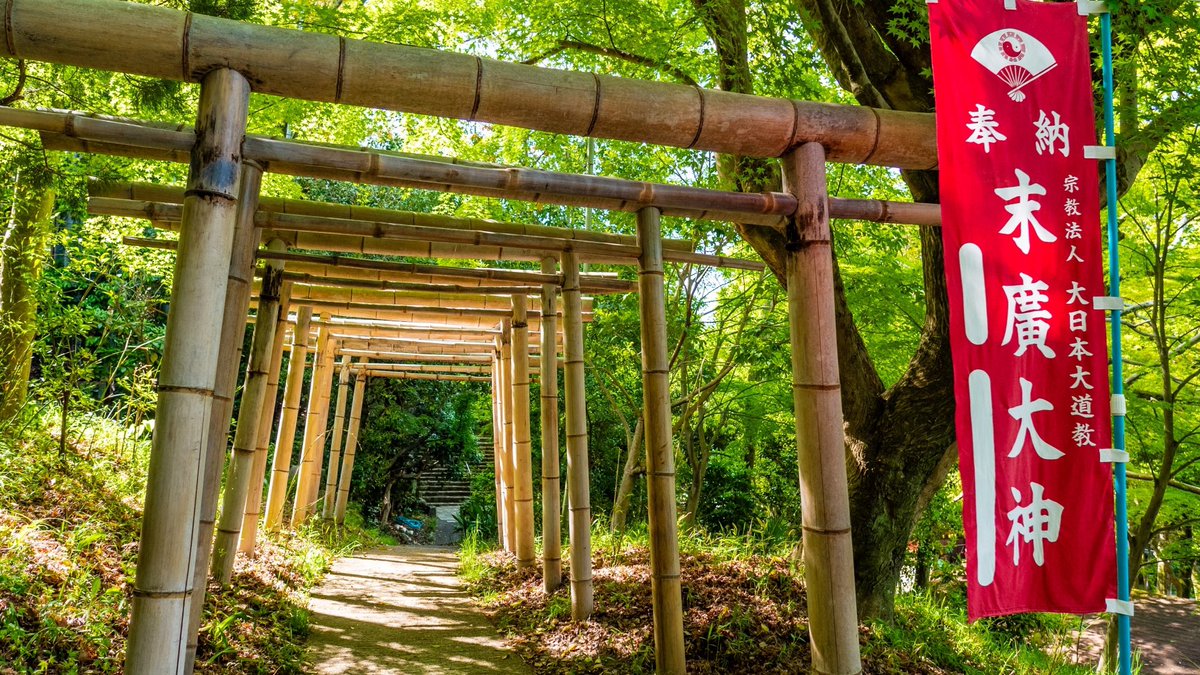 KaitlynUgoretz's tweet photo. Happy #ToriiTuesday! I’m deep in the pre-vacay work blitz, so here’s a quick #torii post! I recently discovered that I missed an unusual material from my earlier series: BAMBOO! ⛩️🎋
It’s the take-torii!
Photos from Kamiya Inari Shrine in Hyogo Pref & Suehiro Shrine in Kyoto https://t.co/ALYAb3Dicz