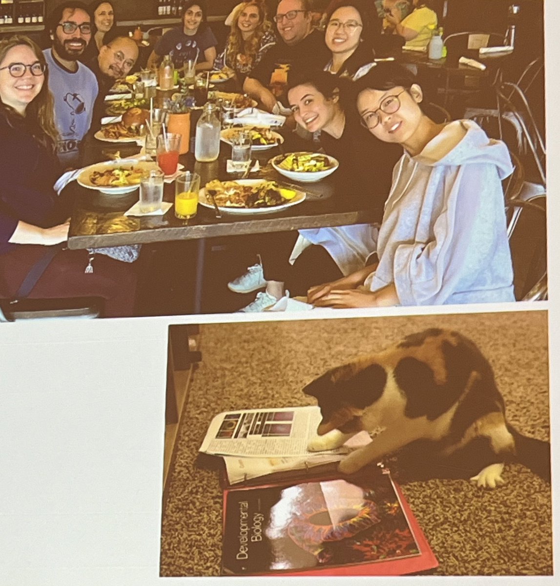 Ondine Cleaver (@cleaverlab) on Twitter photo Smart cat 😉
(Beautiful talk about cell fate allocation during gastrulation and the role of cadherin switching by Ye Zhu from the <a href="/WarmflashLab/">Warmflash lab</a>). #2024SDB
Cc <a href="/Dev_Bio_Journal/">Developmental Biology</a> Smart cat 😉
(Beautiful talk about cell fate allocation during gastrulation and the role of cadherin switching by Ye Zhu from the <a href="/WarmflashLab/">Warmflash lab</a>). #2024SDB
Cc <a href="/Dev_Bio_Journal/">Developmental Biology</a>