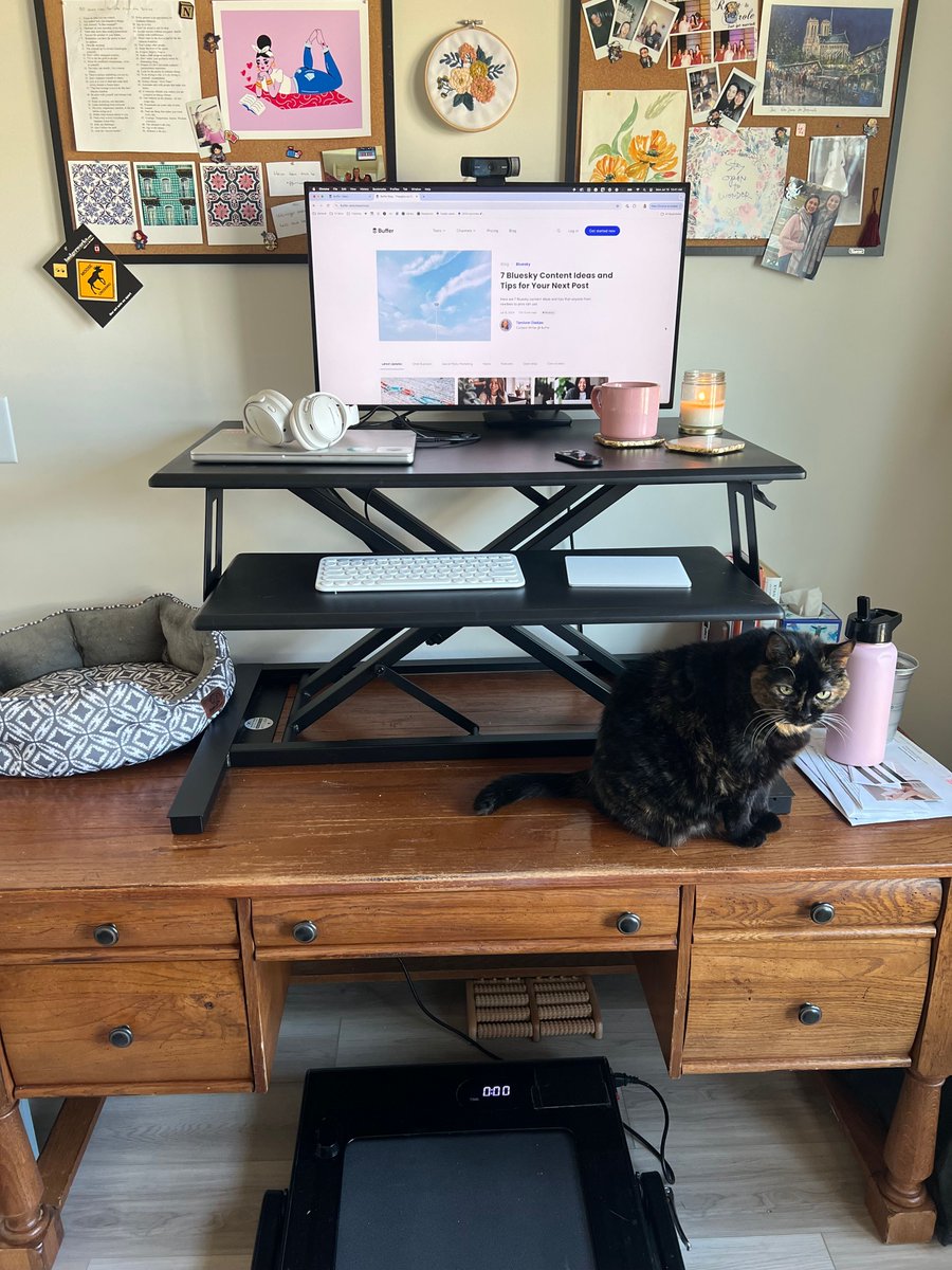 Hailley Griffis tweet media