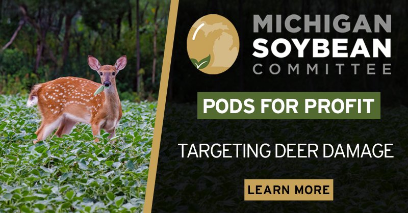 Brownfield Ag News (@brownfield) on Twitter photo In this Pods for Profit, <a href="/MichiganSoybean/">Michigan Soybean</a> Committee Vice President Scott Wilson discusses research efforts underway to stop deer damage. #ManagingforProfit
Listen now at brownfieldagnews.com/managing-for_p… In this Pods for Profit, <a href="/MichiganSoybean/">Michigan Soybean</a> Committee Vice President Scott Wilson discusses research efforts underway to stop deer damage. #ManagingforProfit
Listen now at brownfieldagnews.com/managing-for_p…