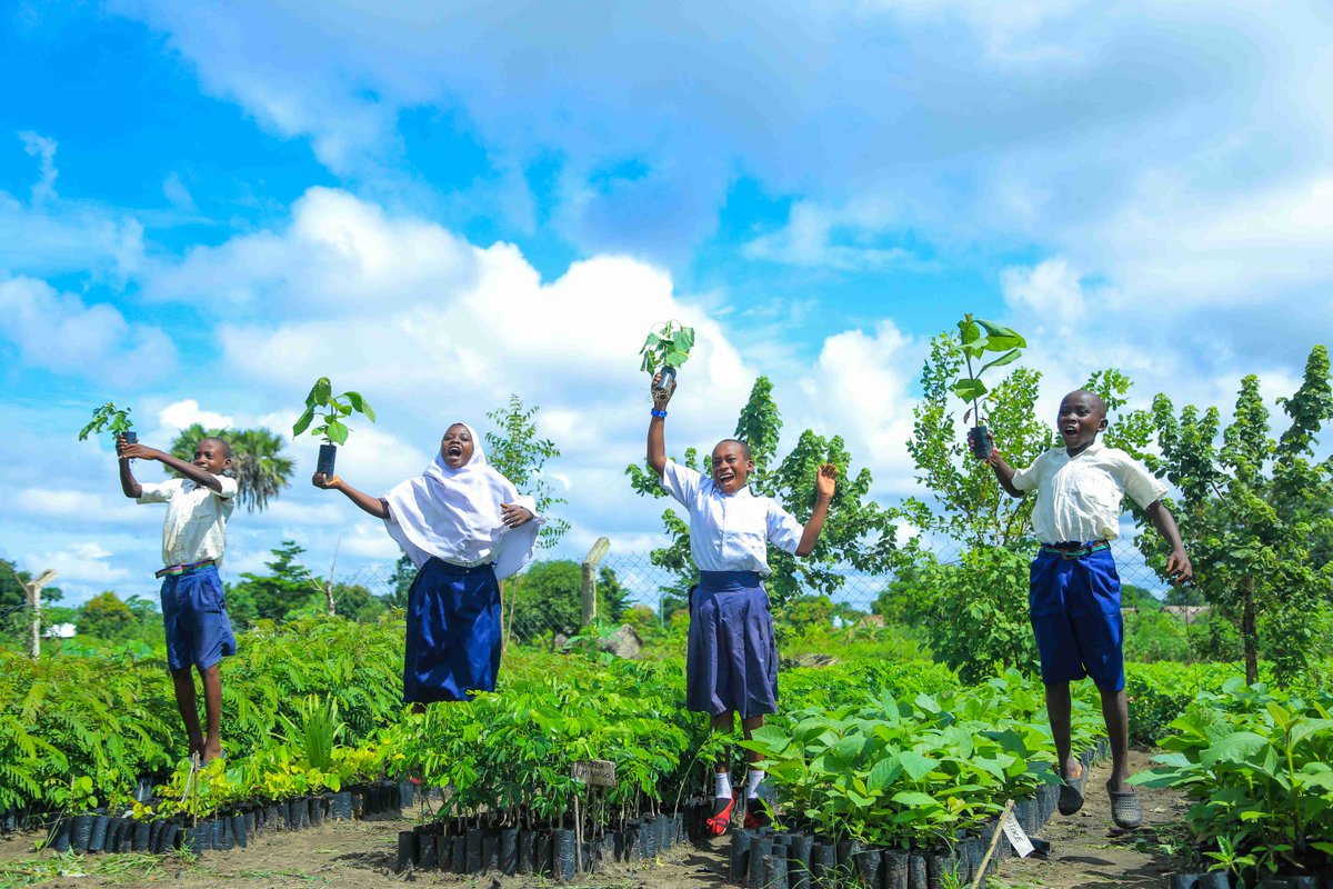 1TrillionTrees's tweet photo. Through our #ReForestFund, we're working with local communities to restore critical landscapes. 🌳
In Tanzania, local involvement is key, with 100,000 seedlings nurtured by nearby schools.
Read more 👉 https://t.co/zJNNHIVrRj
@WWFTANZANIA @WWFLeadForests @WWF https://t.co/7enXnBd91w