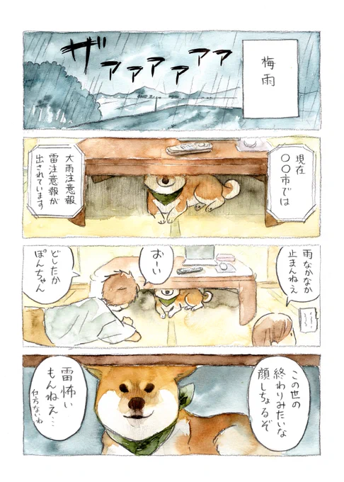 雷と戦う犬(2/2) 