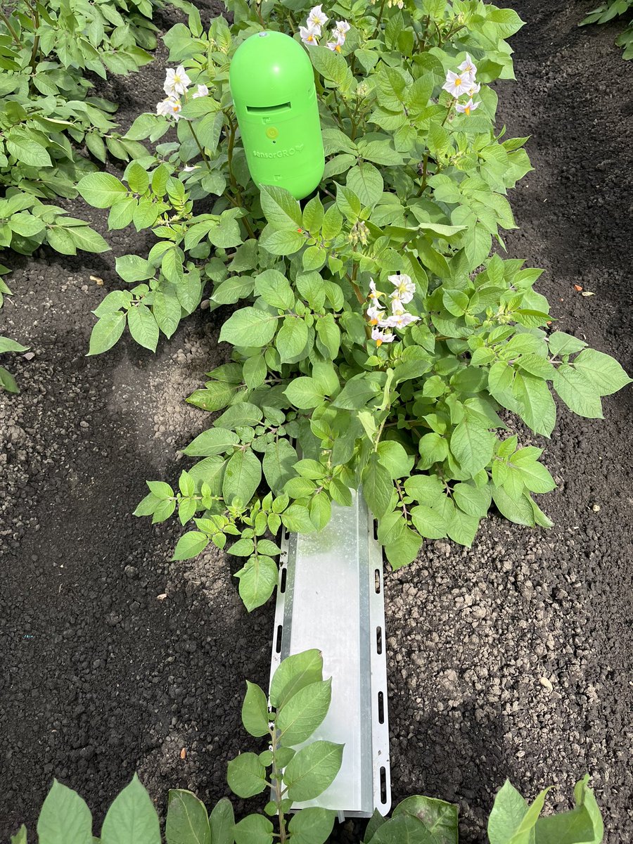 Richard Meredith tweet media