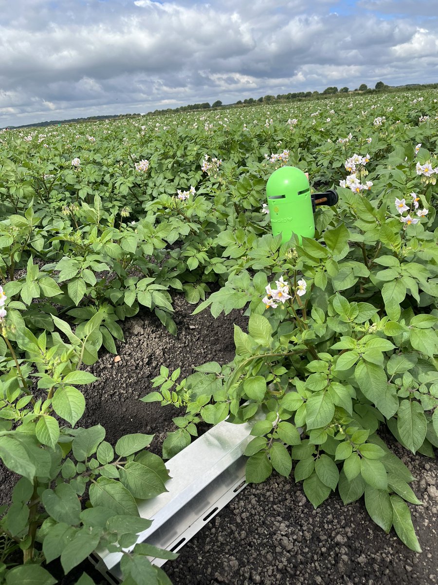 Richard Meredith tweet media