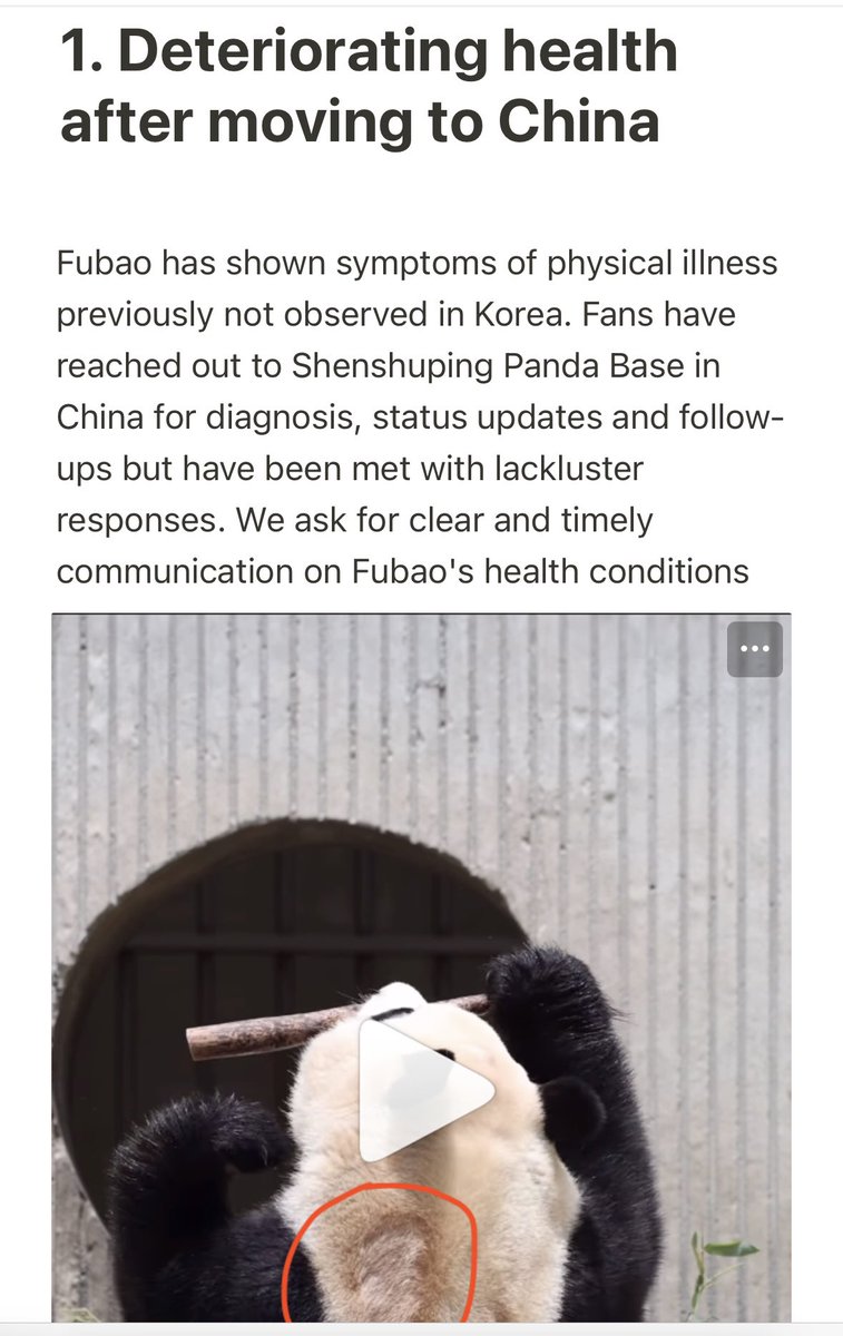 ilovefubao0720's tweet photo. Please read this notion. Fubao needs a safe &amp; humane living condition in Shenshuping Panda Base.
https://t.co/N3dKVXHHMD
@ipandacom @hunantvchina @wsj @bbcworld @cnni @AP @AJENews @ABC @arirangworld @france24 @ChannelNewsAsia #CCRCGP #福宝想爬树 #SAVEFUBAO https://t.co/IBRGlnAsSa
