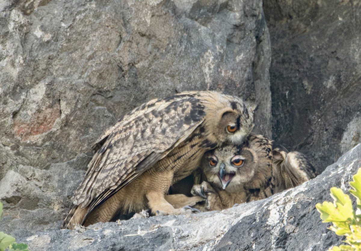 Paul Beiboer tweet media