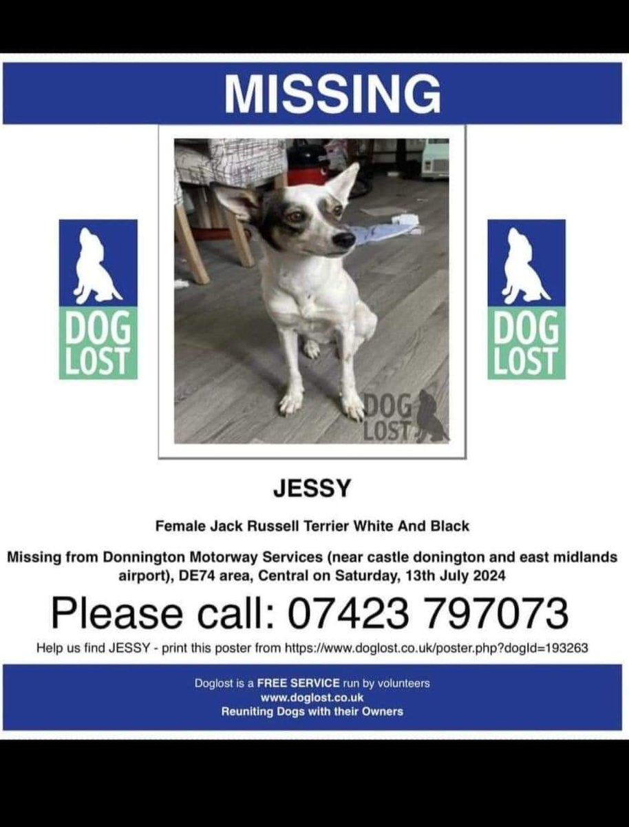 MissingPetsGB's tweet photo. 🐕 URGENT SHARES PLEASE due to proximity of the motorway

RESCUE DOG LOST AT DONNINGTON SERVICES M1.
#Derby #DE74 on 13 July 2024

JESSY was being handed over and slipped harness. 
She is a Bulgaria dog, very nervous. Please don't chase if seen!! https://t.co/7w5o5miZaO
