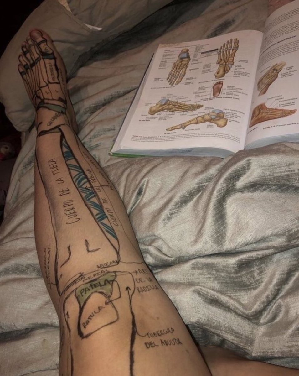 InterestingSTEM's tweet photo. The right way to learn Anatomy 🌚 https://t.co/pGCIQRJbky