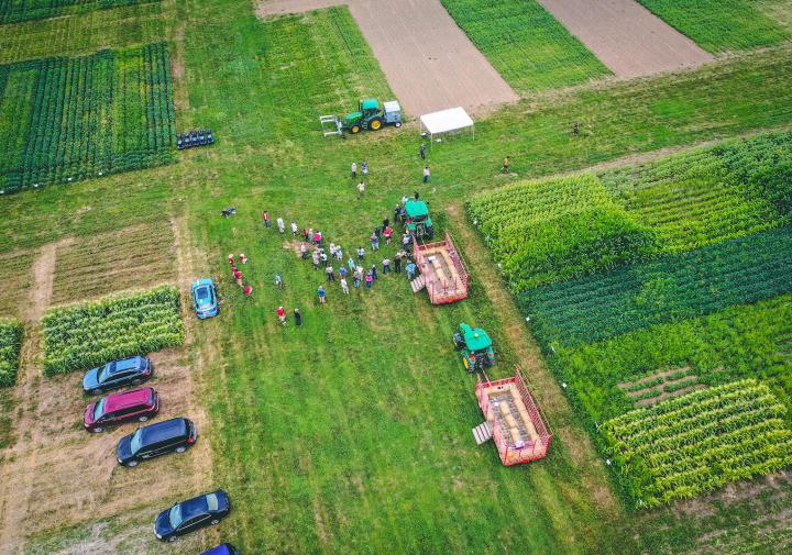 The annual Cornell Field Crop Research Field Day is 8/1 @ Musgrave Research Farm in Aurora, NY. The program will feature walking &amp; hay wagon tours discussing:
🔺Herbicide programs for weed control
🔺Carbon stocks &amp; solar farms
🔺&amp; more!
Register by July 24
cals.cornell.edu/2024-aurora-fa…