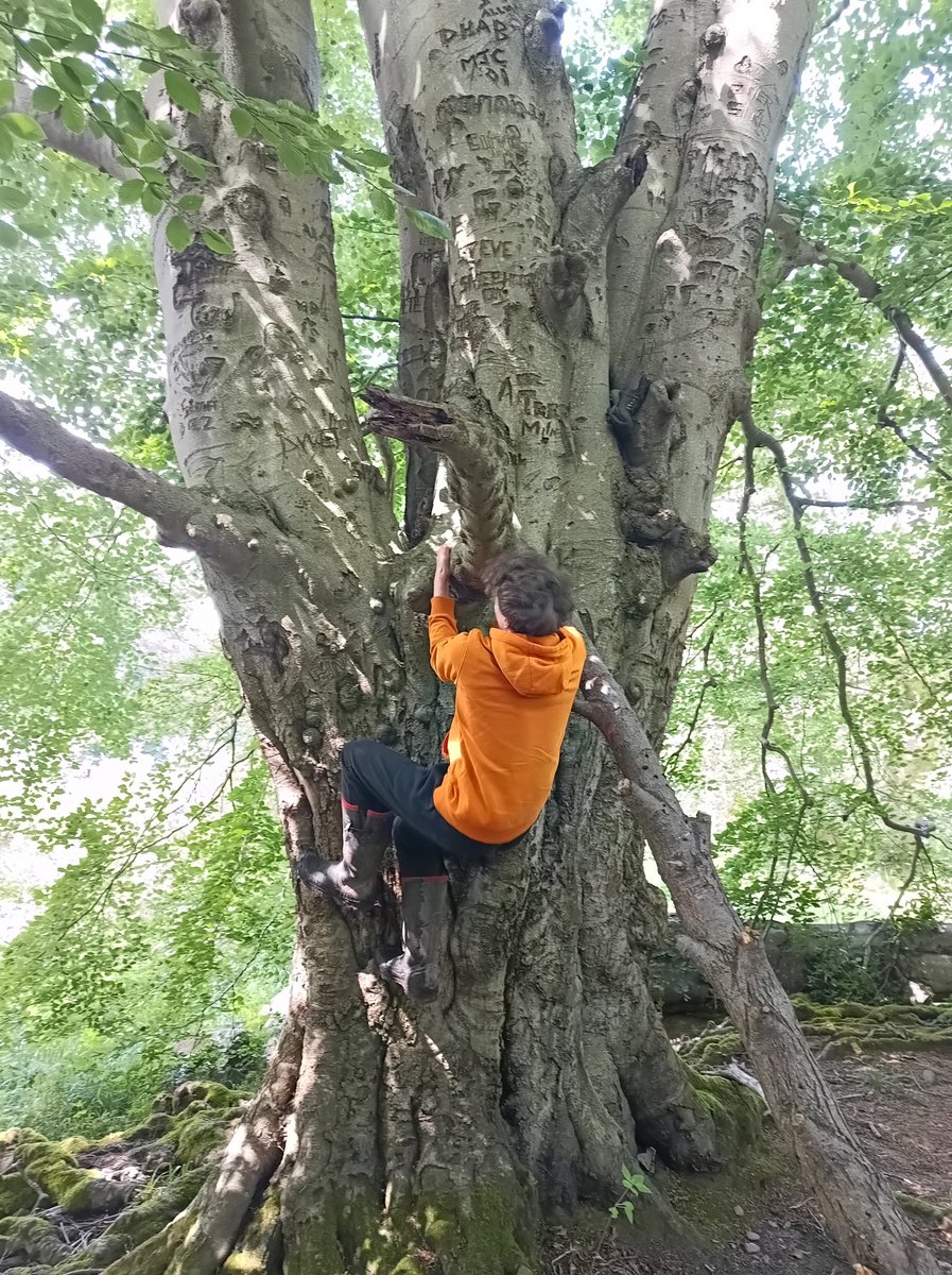 #ThickTrunkTuesday
Acomb
Northumberland