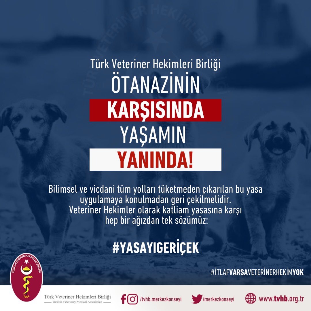 Sahipsiz hayvanlara yönelik hazırlanan ve tarafımıza ulaşan taslak metin hakkında Türk Veteriner Hekimleri Birliği (TVHB) ve Veteriner Hekim Odaları olarak değerlendirmelerimiz devam etmektedir. Ancak ilk değerlendirmelerimize göre;  yapılacak uygulamalarda hiçbir sınır