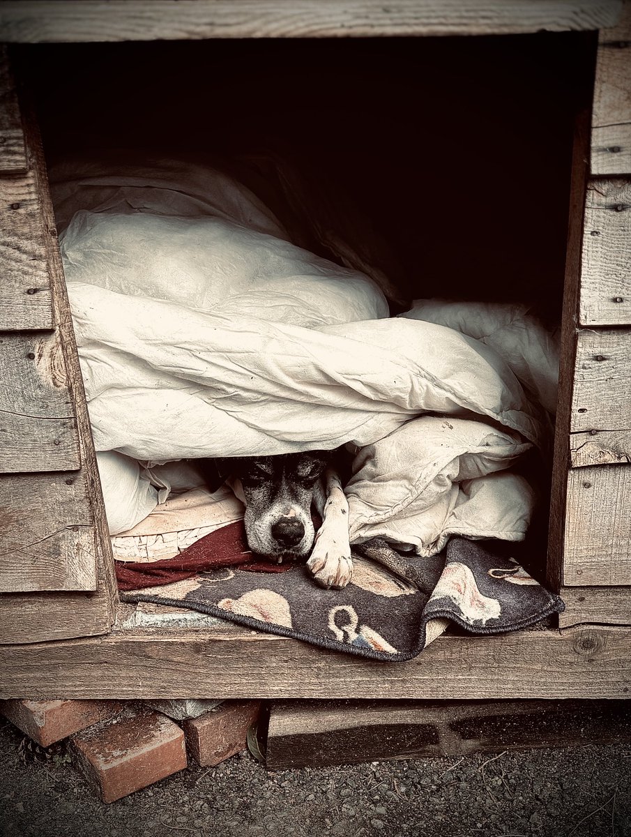 #yasayıgeriçek #ölümyasasınıgeriçek