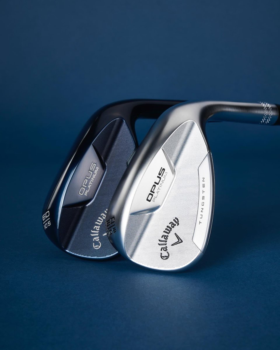 Anne Rogerson Golf tweet media