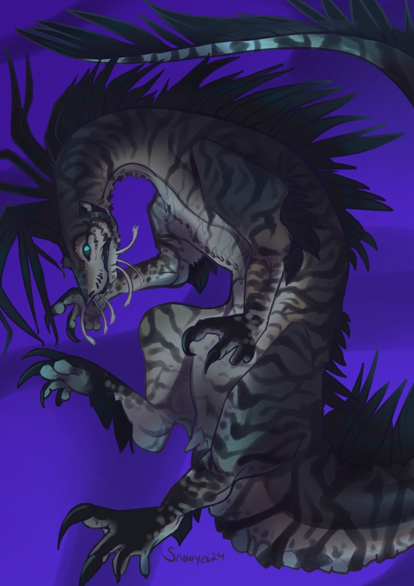 Lumi ✨ tweet media