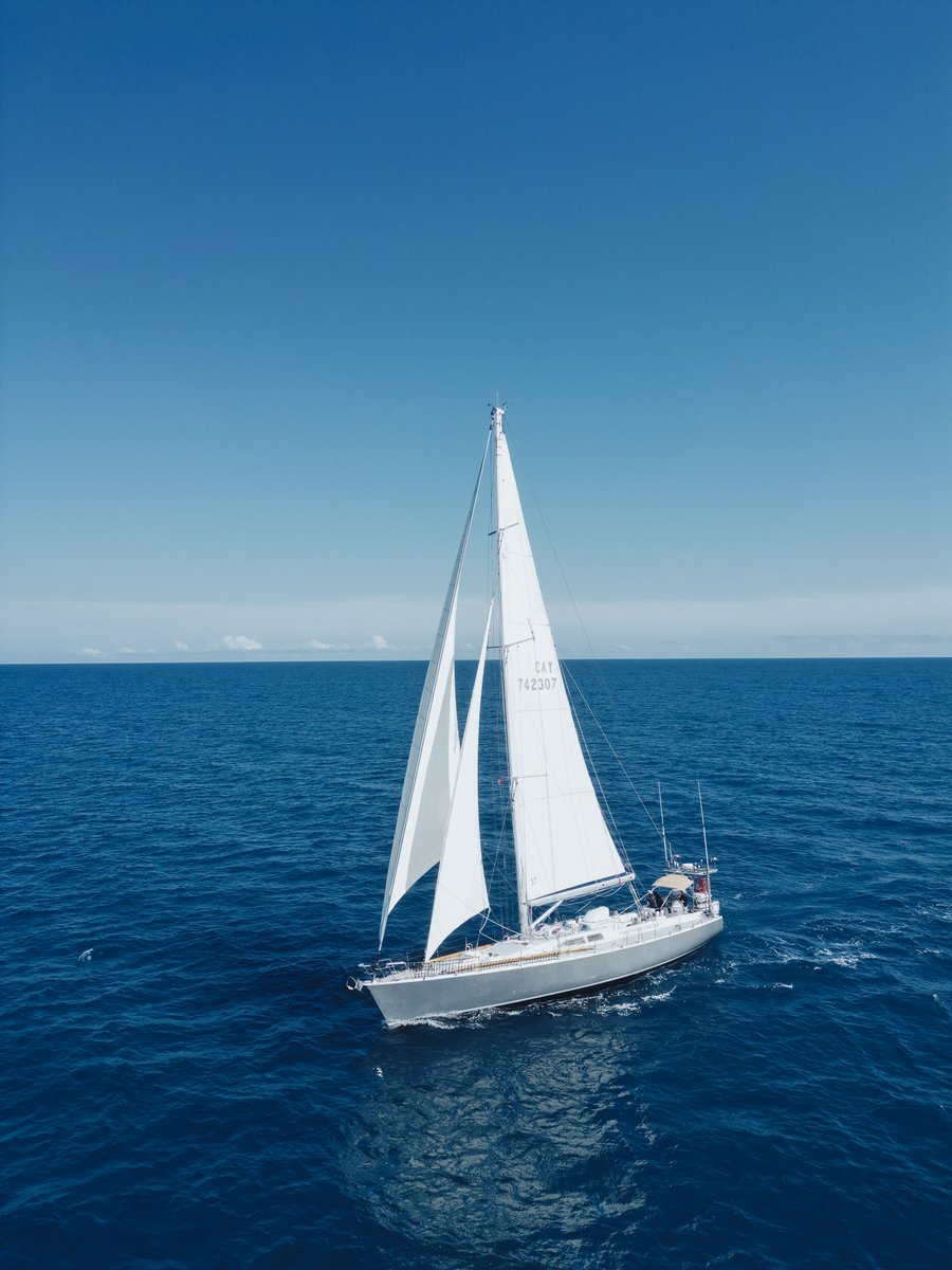 AnotherWorldAdv tweet media