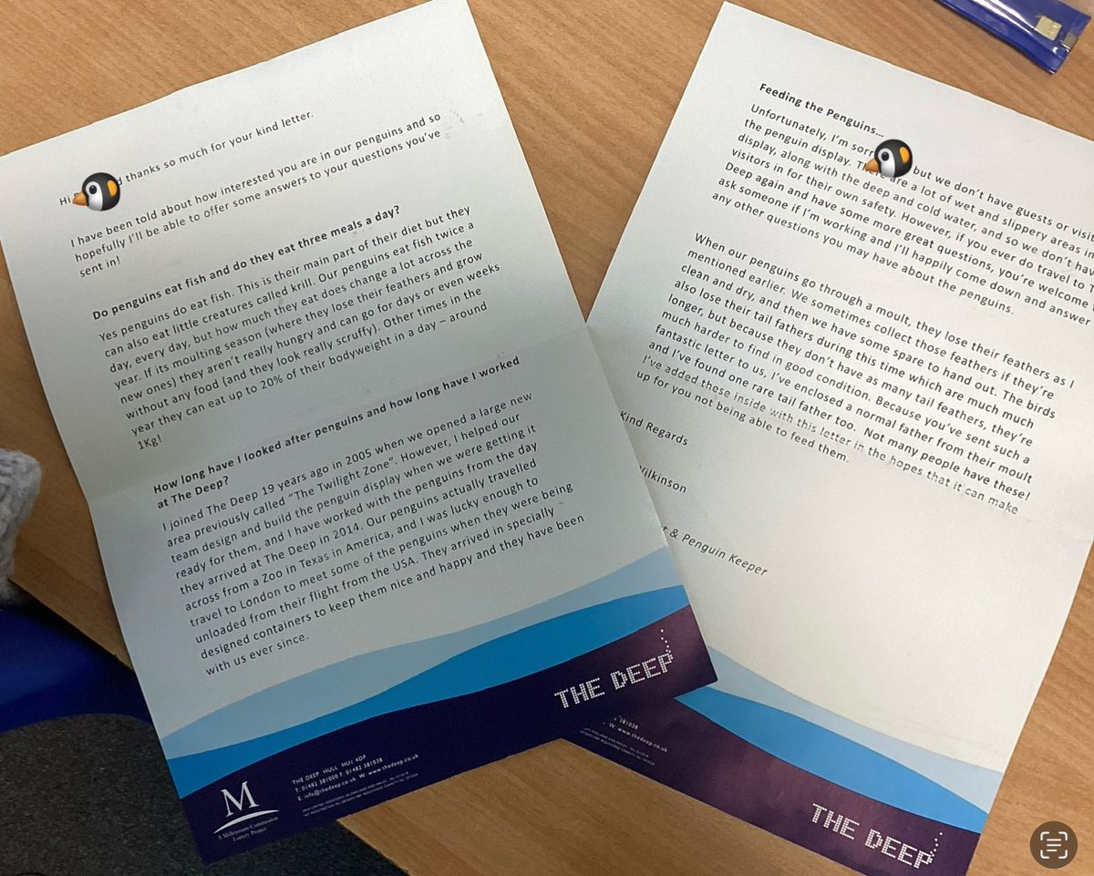 HighViewY4's tweet photo. What exciting post we have received today! After writing a fantastic letter to the penguin keeper  at @TheDeepHull , this superstar has had a wonderful response and has even been sent a tail feather! Thank You! https://t.co/6naJNGvBSC
