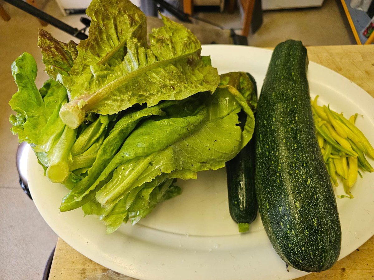 nbsgfoodbank's tweet photo. Our first harvest from our allotment! Now we'll be able to start providing fresh food to people experiencing food insecurity.

Our allotment needs volunteers, all abilities welcome. Every Thursday 12.30pm - 2.30pm.
Volunteer at https://t.co/WihonUM0YR