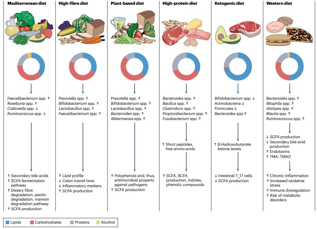 IberianCitizen's tweet photo. La dieta tiene un profundo impacto en la estabilidad, la funcionalidad y la diversidad de la comunidad microbiana dentro de nuestro intestino.
Nueva revisión de @Nature
#dieta #microbiota #mediterránea #fibra #proteina #ultraprocesados #cetogénica #vegana
https://t.co/Bgp0lG1MMR https://t.co/2Kh1lM58br