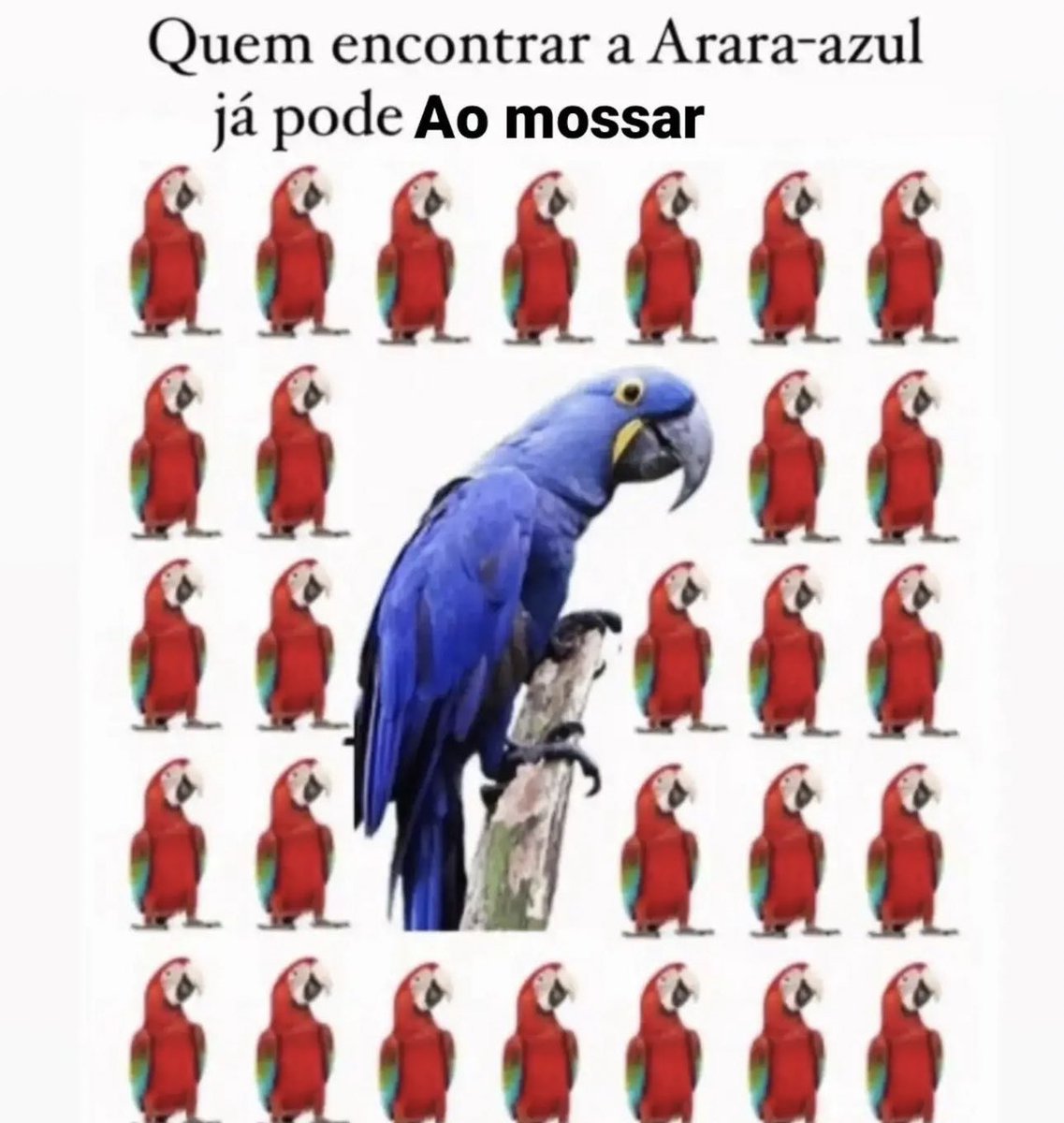 Shitpost só que de verdade (@shitpostverdade) on Twitter photo 