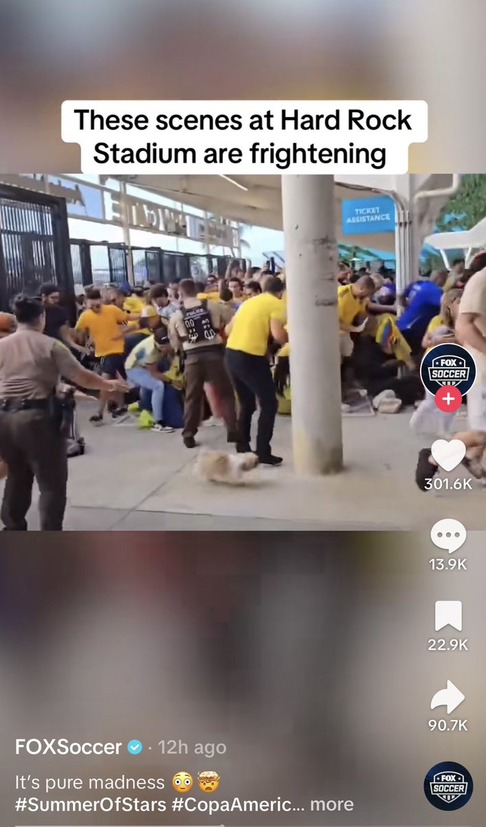 eefergalicious's tweet photo. does anyone know what happened to the loose purse dog at the Copa America game? I’m very concerned https://t.co/4PpSEw8Gzh