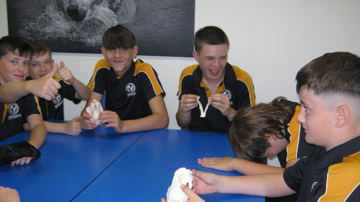 WolfretonSch's tweet photo. A brilliant day of fun and laughter for Year 7! https://t.co/zydSqIhD1O