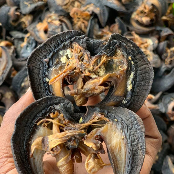 janelfoods's tweet photo. Hello! Esteemed Customers.

Eating snails contribute significantly to your wellbeing.
It's a good source for protein, iron, calcium and has low amounts of fat.

Lean more and order from: https://t.co/tqt6hwGnEs

Your wellbeing, our happiness! https://t.co/hUZL8lubmE