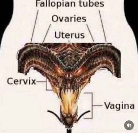 if i ever get a pussy i wanna get this and every time i pull down my pants it plays boss music🥰