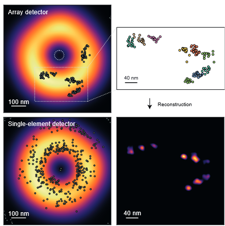 Excited to introduce ISM-FLUX, our new #MINFLUX-based technology! Achieve sub-10 nm localization uncertainty on single molecules using a straightforward #confocal-based setup with an array detector. 1/6
biorxiv.org/content/10.110…