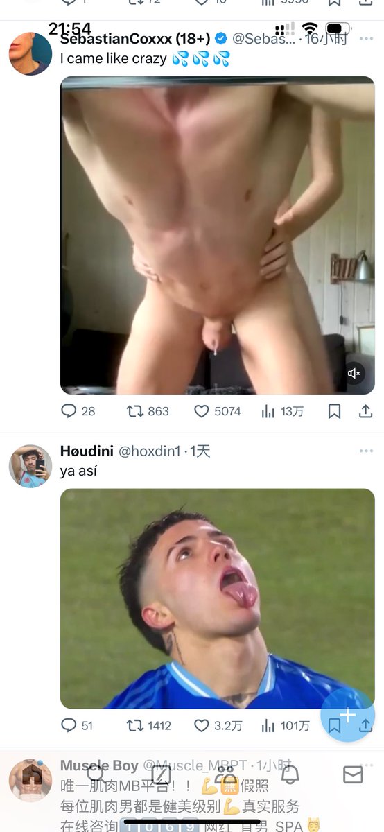 热爱 tweet media