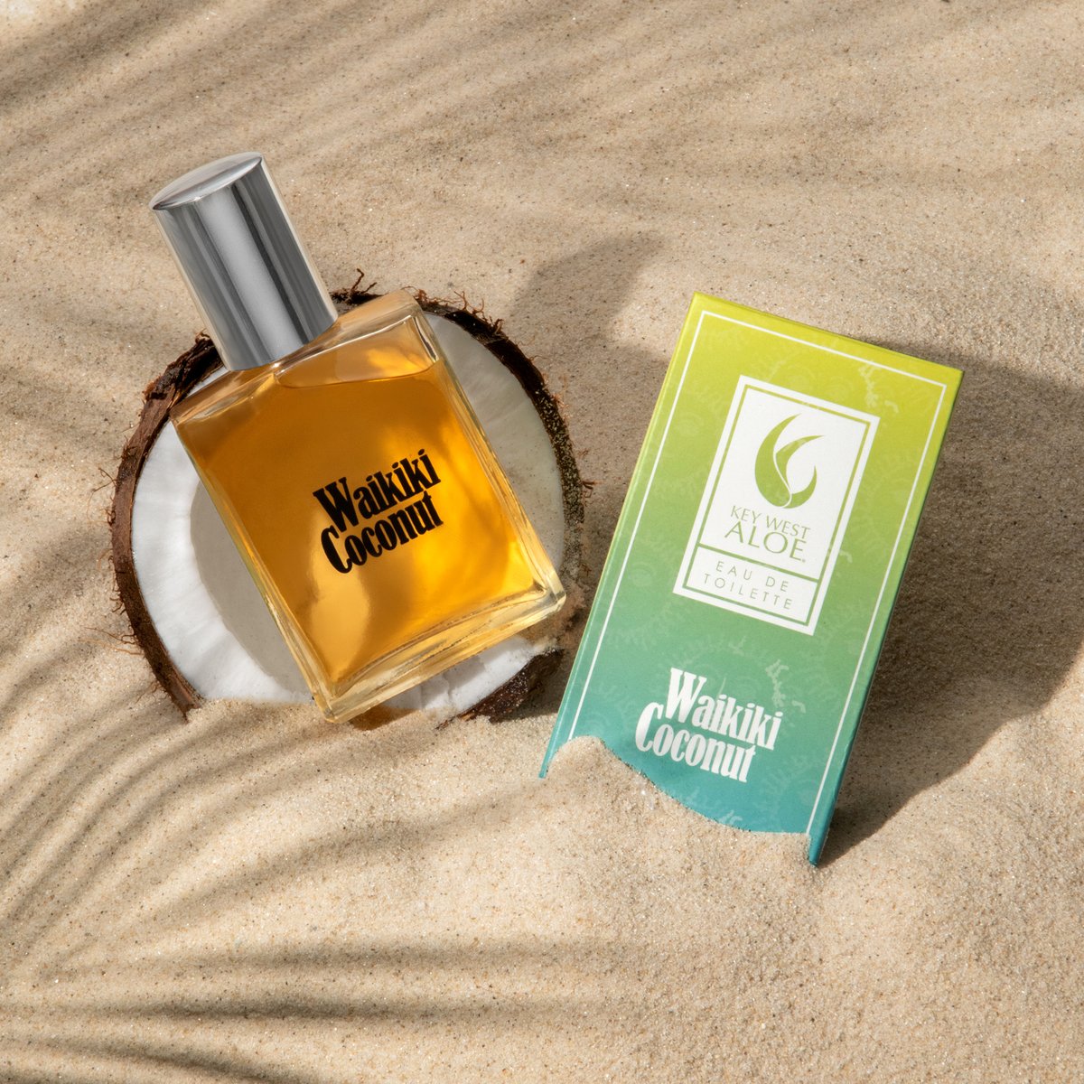 Key West Aloe tweet media